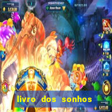 livro dos sonhos jogo do bicho